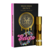 GELATO 6 GELATO