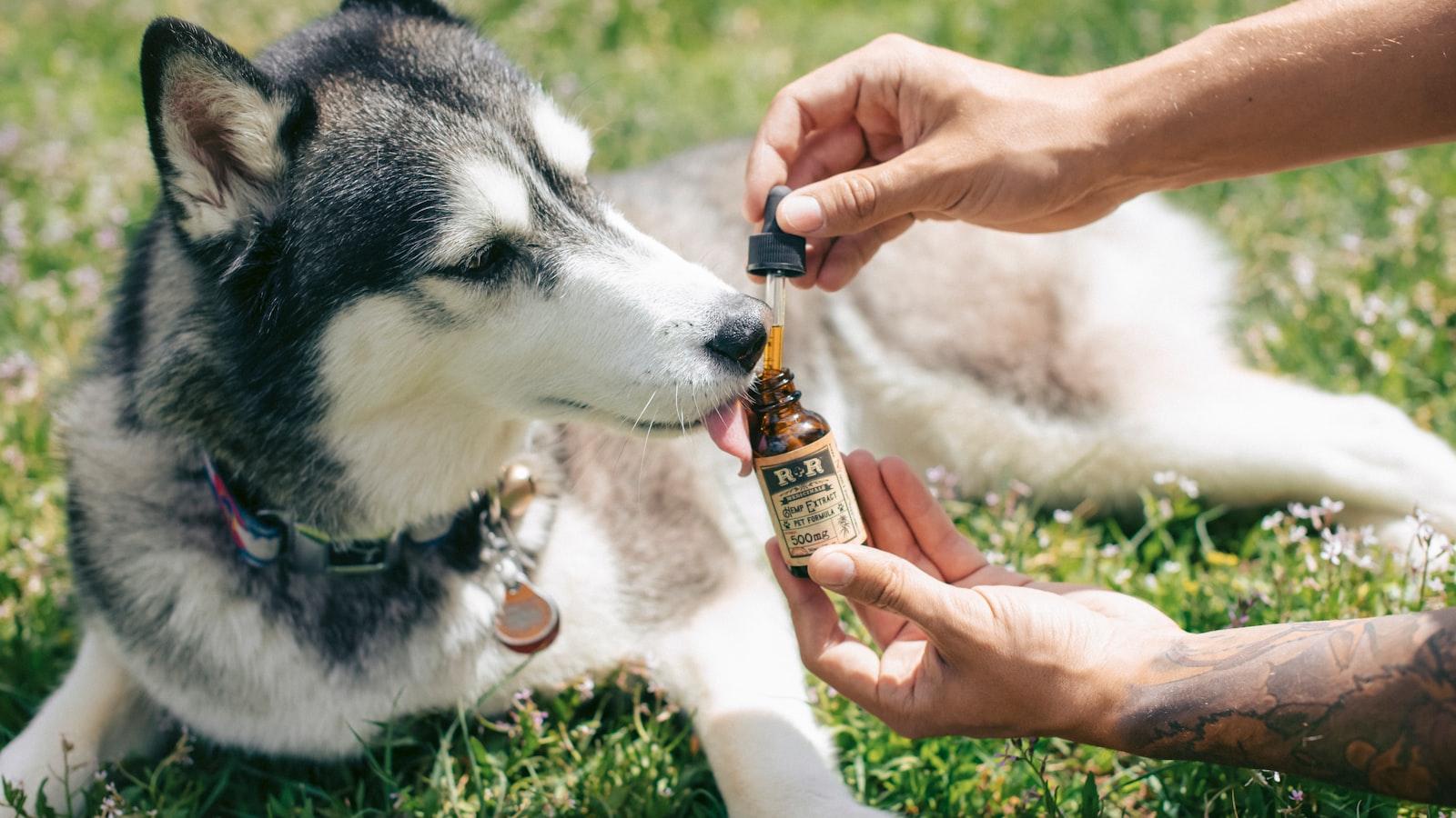 https://www.newswire.com/news/cannabis-brand-muha-meds-licensed-and-now-available-throughout-michigan-21530559 3 Exploring the Benefits of Muha Meds Products