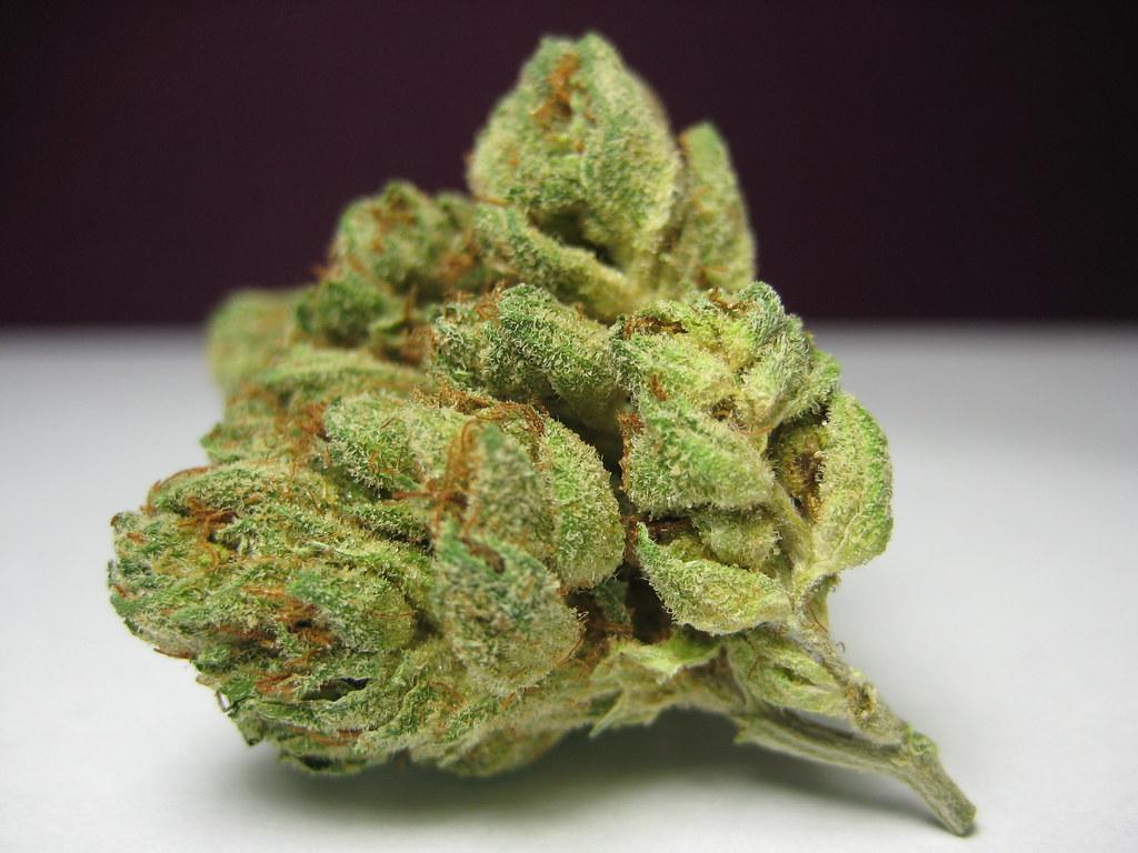 Muha Meds CBD vape 5 Tips for Maximizing the Effects of Muha Meds CBD Vape