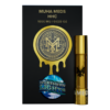 Buy Northern Lights: Experience the Magic of Aurora Borealis – Shop Now! 1 northern lights 1