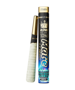 Buy Northern Lights Online - Premium Quality, Fast Shipping & Secure Purchase