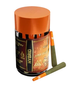Alternative view of Orange Burst 5 Pre-Rolls,