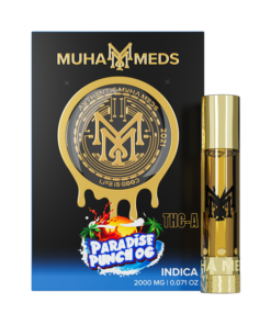 Paradise Punch Muha: Discover the Ultimate Relaxation Experience